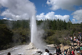 See geysers and other exciting geothermal activity in Rotorua