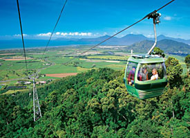 Glide smoothly and silently above the world heritage rainforest, enjoying amazing views, on the world's second longest gondola ride.